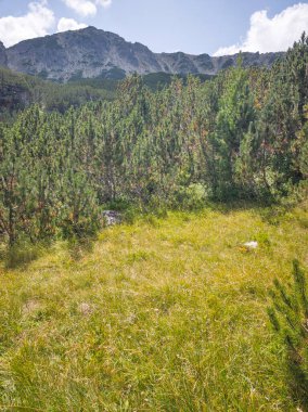 Bulgaristan 'ın Granchar Gölü yakınlarındaki Rila Dağı' nın İnanılmaz Yaz Manzarası