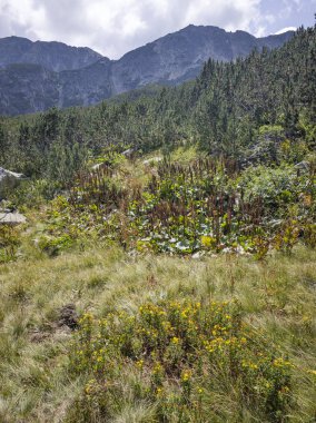 Bulgaristan 'ın Granchar Gölü yakınlarındaki Rila Dağı' nın İnanılmaz Yaz Manzarası