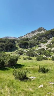 Bulgaristan 'ın Banderitsa bölgesindeki Pirin Dağı' nın şaşırtıcı yaz manzarası