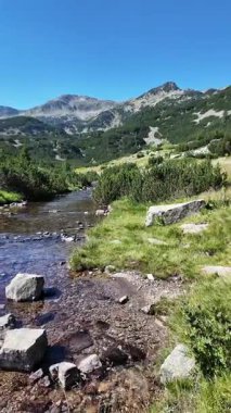 Bulgaristan 'ın Banderitsa bölgesindeki Pirin Dağı' nın şaşırtıcı yaz manzarası