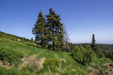 Bulgaristan 'ın Vitosha Dağı' nın İnanılmaz Bahar Manzarası