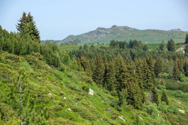 Bulgaristan 'ın Vitosha Dağı' nın İnanılmaz Bahar Manzarası