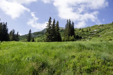 Bulgaristan 'ın Vitosha Dağı' nın İnanılmaz Bahar Manzarası