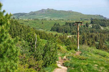 Bulgaristan 'ın Vitosha Dağı' nın İnanılmaz Bahar Manzarası