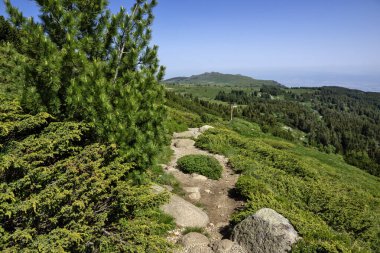 Bulgaristan 'ın Vitosha Dağı' nın İnanılmaz Bahar Manzarası
