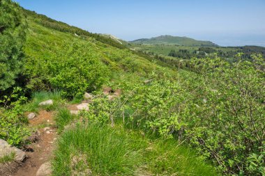 Bulgaristan 'ın Vitosha Dağı' nın İnanılmaz Bahar Manzarası