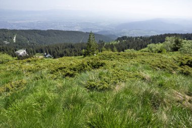Bulgaristan 'ın Vitosha Dağı' nın İnanılmaz Bahar Manzarası