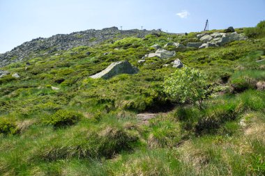 Bulgaristan 'ın Vitosha Dağı' nın İnanılmaz Bahar Manzarası