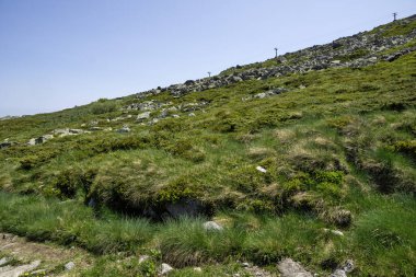 Bulgaristan 'ın Vitosha Dağı' nın İnanılmaz Bahar Manzarası