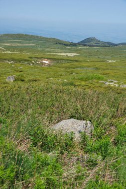 Bulgaristan 'ın Vitosha Dağı' nın İnanılmaz Bahar Manzarası