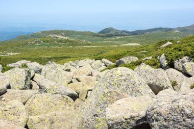 Bulgaristan 'ın Vitosha Dağı' nın İnanılmaz Bahar Manzarası