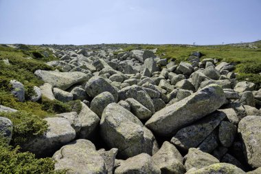 Bulgaristan 'ın Vitosha Dağı' nın İnanılmaz Bahar Manzarası