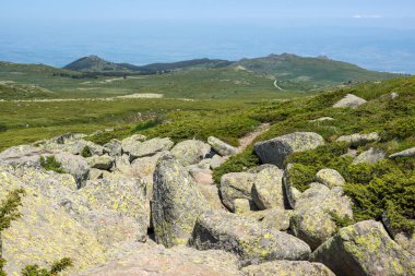 Bulgaristan 'ın Vitosha Dağı' nın İnanılmaz Bahar Manzarası