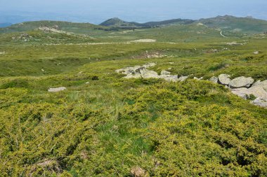 Bulgaristan 'ın Vitosha Dağı' nın İnanılmaz Bahar Manzarası