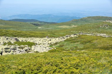 Bulgaristan 'ın Vitosha Dağı' nın İnanılmaz Bahar Manzarası
