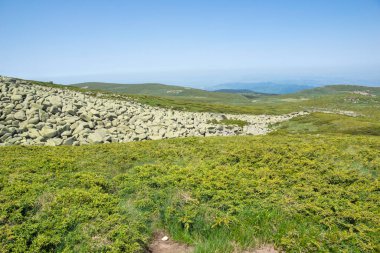 Bulgaristan 'ın Vitosha Dağı' nın İnanılmaz Bahar Manzarası