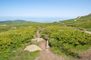Bulgaristan 'ın Vitosha Dağı' nın İnanılmaz Bahar Manzarası