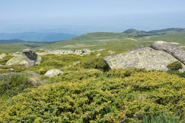 Bulgaristan 'ın Vitosha Dağı' nın İnanılmaz Bahar Manzarası