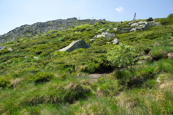 Bulgaristan 'ın Vitosha Dağı' nın İnanılmaz Bahar Manzarası