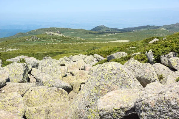 Bulgaristan 'ın Vitosha Dağı' nın İnanılmaz Bahar Manzarası