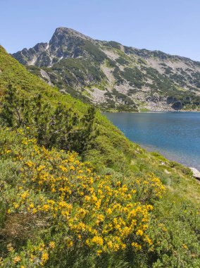 Bulgaristan 'ın Popovo Gölü yakınlarındaki Pirin Dağı' nın İnanılmaz Yaz Manzarası