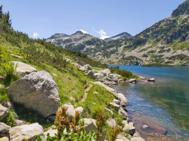 Bulgaristan 'ın Popovo Gölü yakınlarındaki Pirin Dağı' nın İnanılmaz Yaz Manzarası