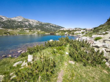 Bulgaristan 'ın Popovo Gölü yakınlarındaki Pirin Dağı' nın İnanılmaz Yaz Manzarası