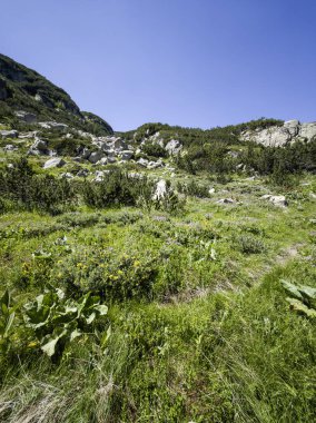 Bulgaristan 'ın Popovo Gölü yakınlarındaki Pirin Dağı' nın İnanılmaz Yaz Manzarası