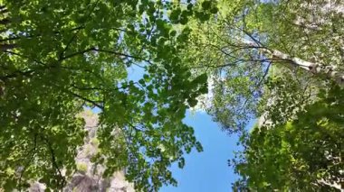 Bulgaristan 'ın Tran kenti yakınlarındaki Erma Nehri Boğazı' nın şaşırtıcı yaz manzarası