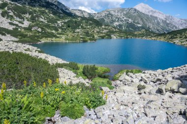 Bulgaristan 'ın Banderitsa Bölgesi yakınlarındaki Pirin Dağı' nın Şaşırtıcı Manzarası