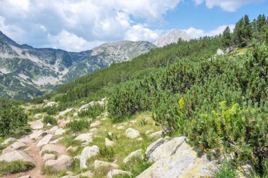 Bulgaristan 'ın Banderitsa Bölgesi yakınlarındaki Pirin Dağı' nın Şaşırtıcı Manzarası