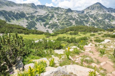 Bulgaristan 'ın Banderitsa Bölgesi yakınlarındaki Pirin Dağı' nın Şaşırtıcı Manzarası