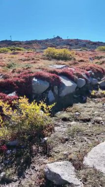 Bulgaristan 'ın Vitosha Dağı' nın şaşırtıcı sonbahar manzarası