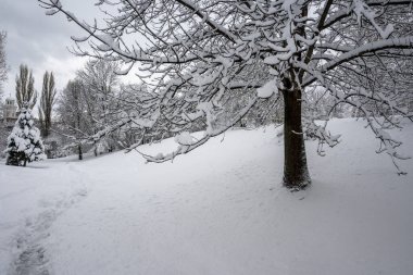 Bulgaristan 'ın Sofya kentindeki South Park' ın şaşırtıcı kış manzarası