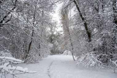 Bulgaristan 'ın Sofya kentindeki South Park' ın şaşırtıcı kış manzarası