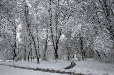 Bulgaristan 'ın Sofya kentindeki South Park' ın şaşırtıcı kış manzarası