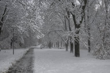 Bulgaristan 'ın Sofya kentindeki South Park' ın şaşırtıcı kış manzarası