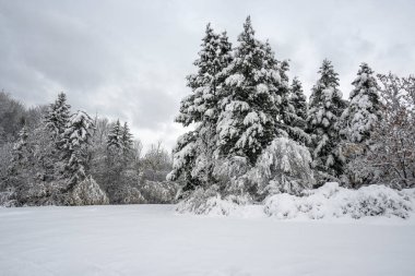 Bulgaristan 'ın Sofya kentindeki South Park' ın şaşırtıcı kış manzarası