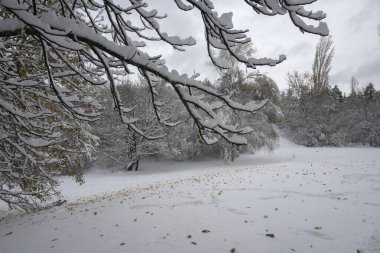 Bulgaristan 'ın Sofya kentindeki South Park' ın şaşırtıcı kış manzarası