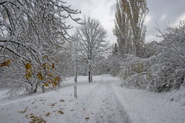 Bulgaristan 'ın Sofya kentindeki South Park' ın şaşırtıcı kış manzarası