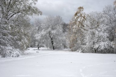 Bulgaristan 'ın Sofya kentindeki South Park' ın şaşırtıcı kış manzarası
