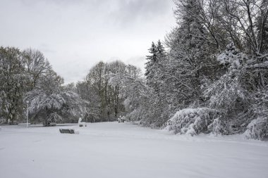 Bulgaristan 'ın Sofya kentindeki South Park' ın şaşırtıcı kış manzarası