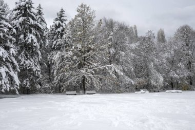 Bulgaristan 'ın Sofya kentindeki South Park' ın şaşırtıcı kış manzarası
