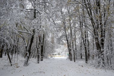 Bulgaristan 'ın Sofya kentindeki South Park' ın şaşırtıcı kış manzarası