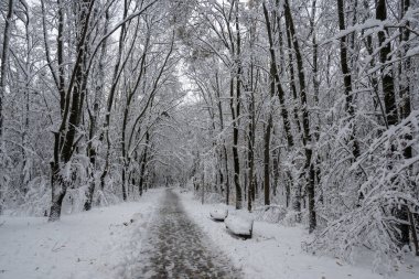 Bulgaristan 'ın Sofya kentindeki South Park' ın şaşırtıcı kış manzarası