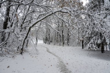 Bulgaristan 'ın Sofya kentindeki South Park' ın şaşırtıcı kış manzarası