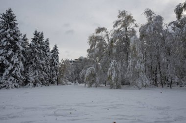 Bulgaristan 'ın Sofya kentindeki South Park' ın şaşırtıcı kış manzarası