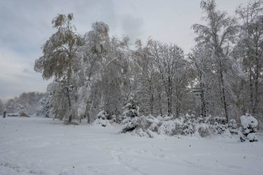 Bulgaristan 'ın Sofya kentindeki South Park' ın şaşırtıcı kış manzarası