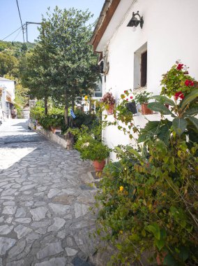 MAKRINITSA, THESSALY, GREECE - 8 Eylül 2025: Yunanistan 'ın Selanik kentindeki Pelion Dağı' ndaki Makrinitsa Köyü 'nün muhteşem manzarası