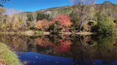 Bulgaristan 'ın Sofya kentinin Pancharevo Gölü yakınlarından geçen Iskar Nehri' nin Sonbahar Manzarası